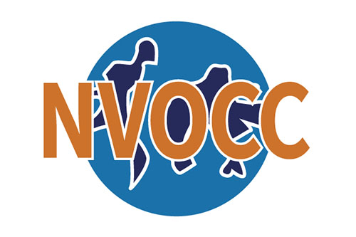 NVOCC國(guó)際無(wú)船承運(yùn)人